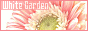 White Garden